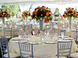 Wedding reception - DMarie Elegant events